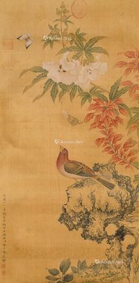 郎世宁 花鸟