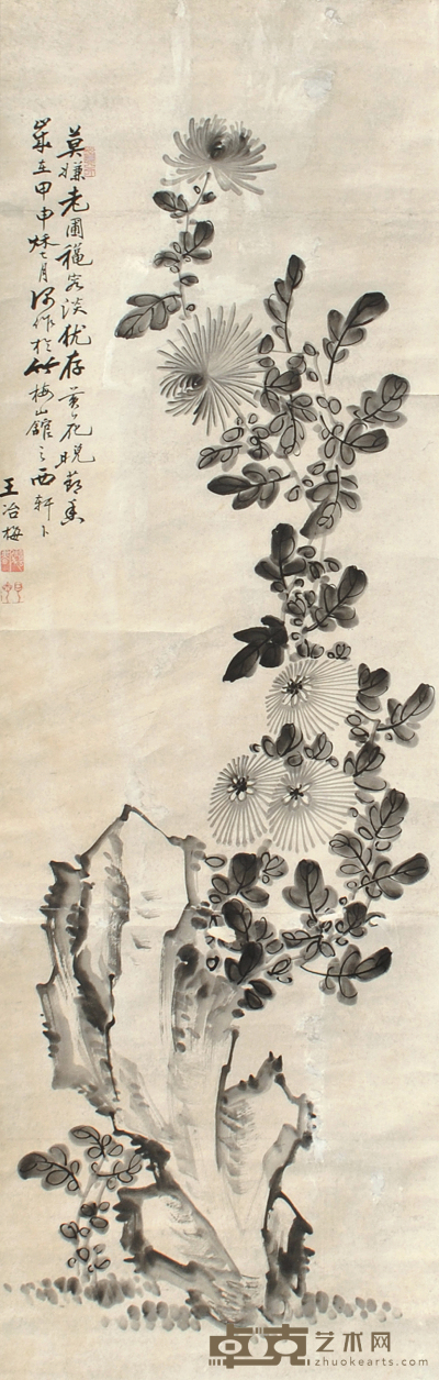 王冶梅 菊石图 128×40cm