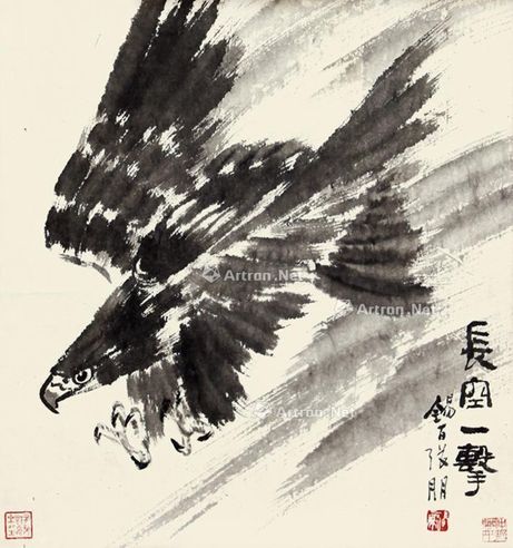 张朋 鹰
