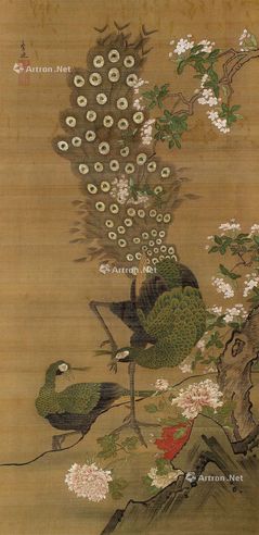 孔雀 立轴 设色绢本