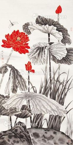 莫晓松 荷花蜻蜓