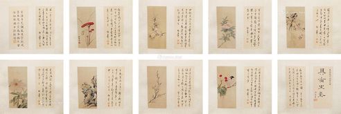 胡絜青 花卉
