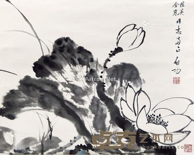 启功 水墨荷花 44×55cm