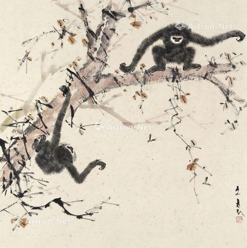 陈文希 长臂猿