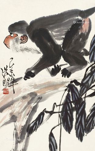 张朋 猴