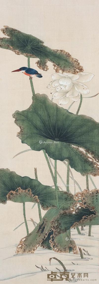 田世光 荷花翠鸟 103×36cm