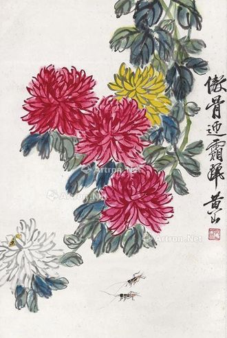 王天池 菊花草虫