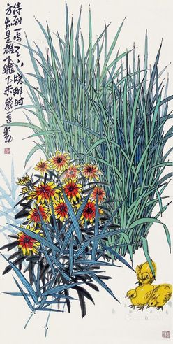 赵秀勋 昌菊小鸡