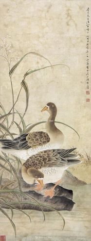 陈之佛 芦雁图