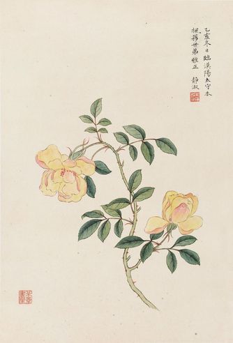 潘静淑 月季花