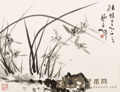 蒋风白 兰草 32×41.5cm