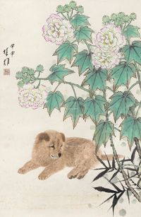 方楚雄 芙蓉小狗