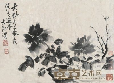 徐渭 花卉 27×37cm