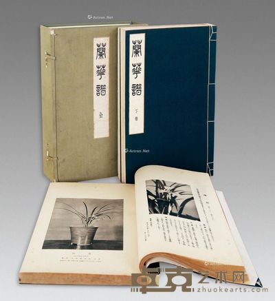 兰花谱 35.5×23cm