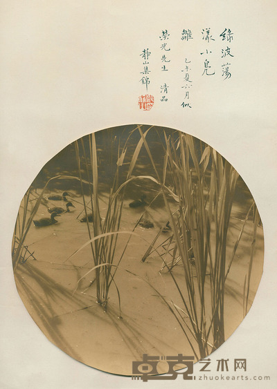郎静山 绿波荡漾小凫雏 长13cm