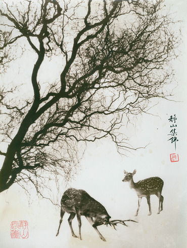 郎静山 夫唱妇随