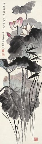 胡絜青 荷花