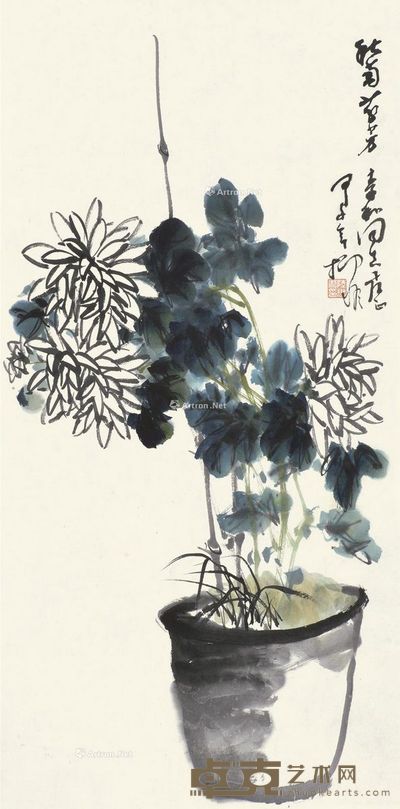 陆抑非 秋菊芬芳 71×36cm