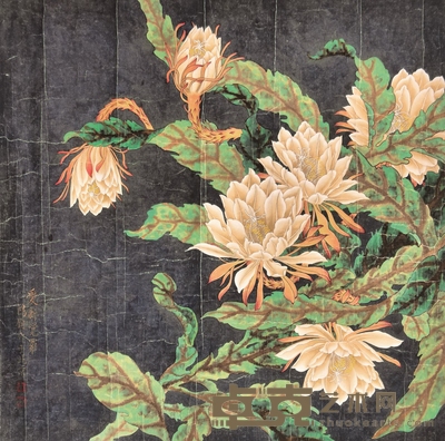 牡丹 65×65cm