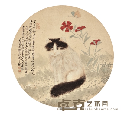 猫蝶图 40×40cm
