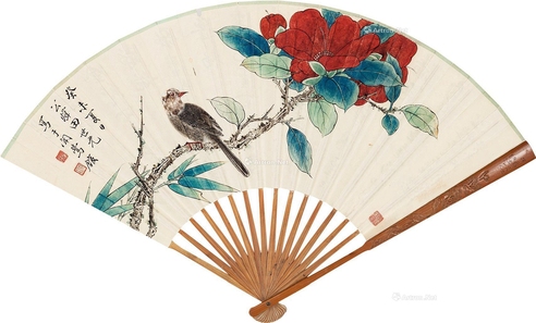 田世光     红花小鸟