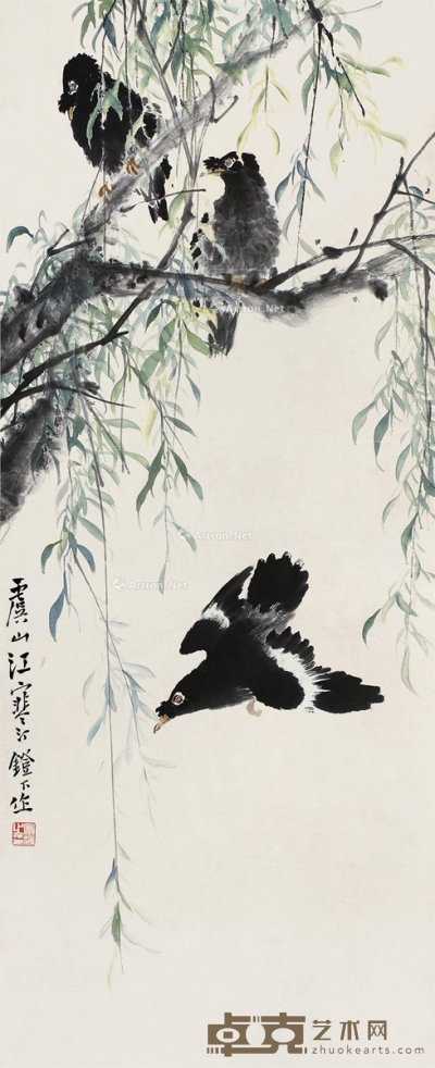 江寒汀     柳枝八哥 97×39cm