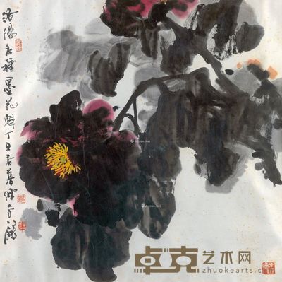 陈永锵 墨牡丹 68×68cm
