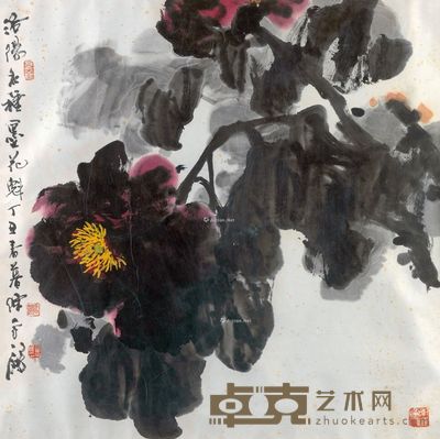 陈永锵  墨牡丹 68×68cm