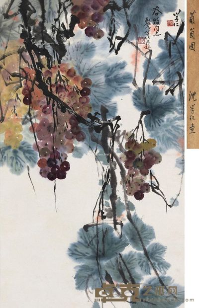 沈学仁 葡萄图 78×47cm