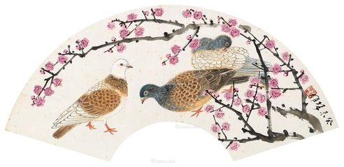 方楚雄 梅花鸽子