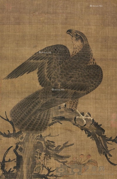 松鹰图 镜片 设色纸本 73×48cm