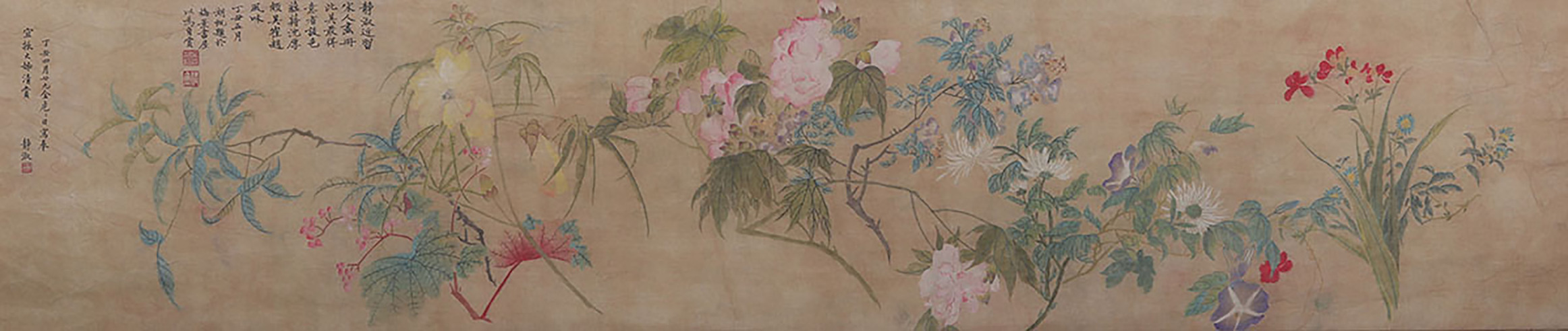 花卉镜片