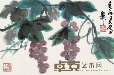 谢稚柳 葡萄图 24×37cm