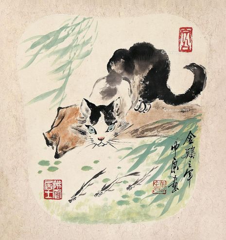 张中原 猫