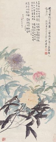 黄鞠 花卉