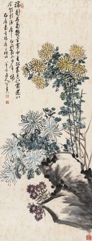 陈年 寿菊