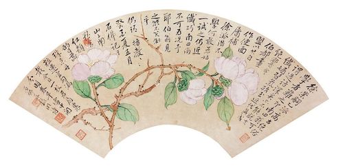 赵浩公 花卉