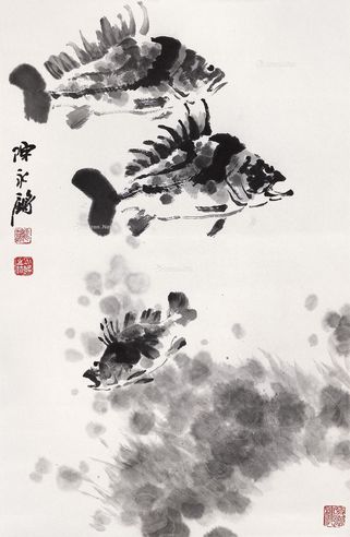 陈永锵 鳜鱼