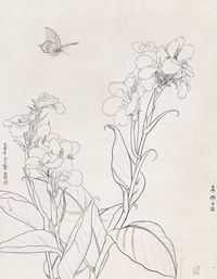 于非闇 蝶恋花