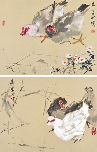 陈文希 鸡