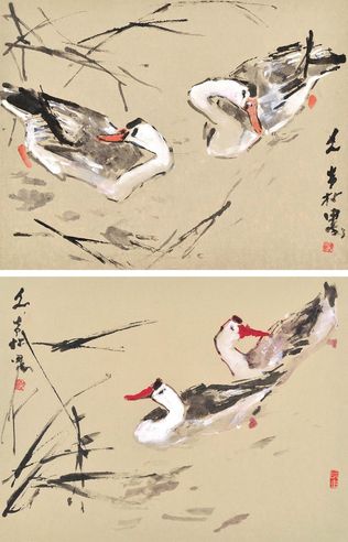 陈文希 游鸭