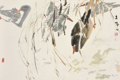 陈文希 游鸭