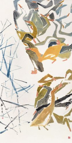 陈文希 鸭
