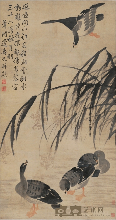 边寿民 菰蒲芦雁图 诗堂：69.5×39.5cm 画心：132×70cm