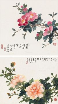 张韶石 花卉