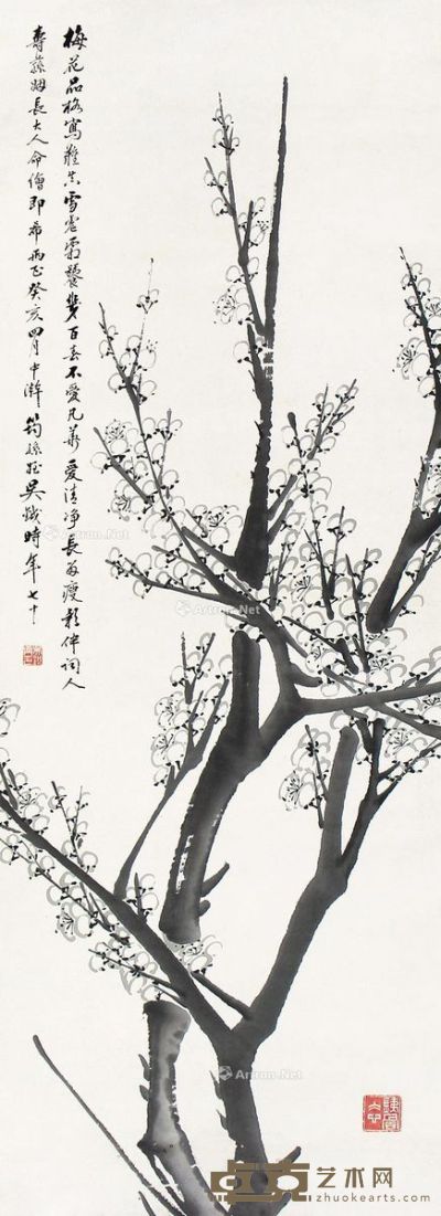 吴筠孙 梅花 76×31cm