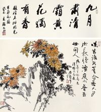 陆抑非 菊石图