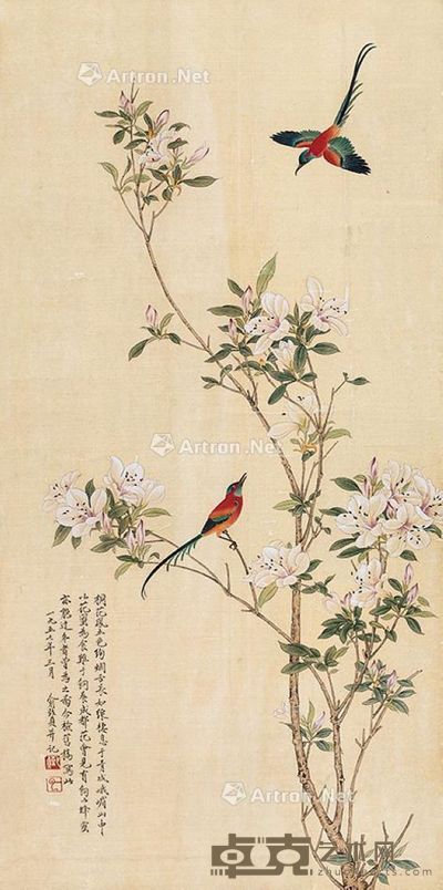 俞致贞 桐花凤 88.5×43.5cm