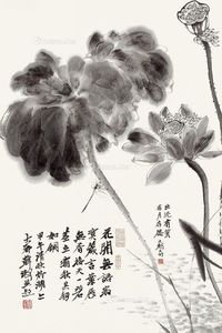 韩璐 花开无语