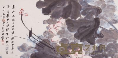 张大千 玉井墨荷 57×114cm